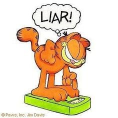 garfield liar