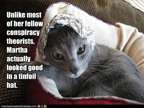 tinfoil cat