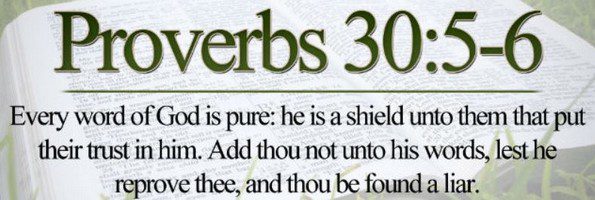 every word of god is pure