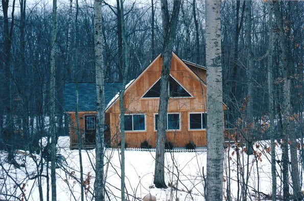 white birch clare michigan 2003-001