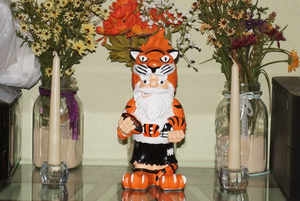 cincinnati bengals gnome