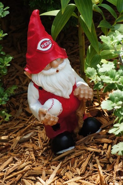 cincinnati reds gnome