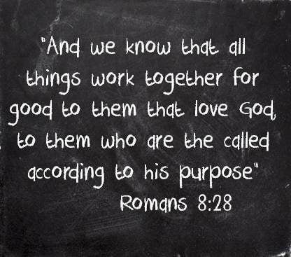 romans 8 28