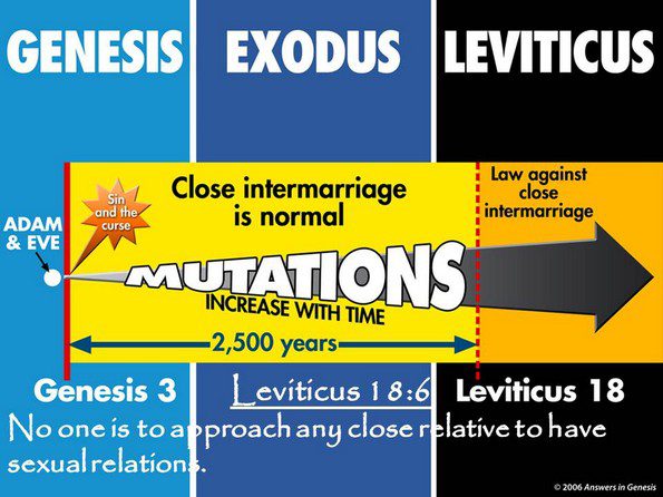 ken ham incest chart