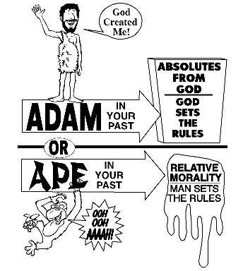adam or ape creationism