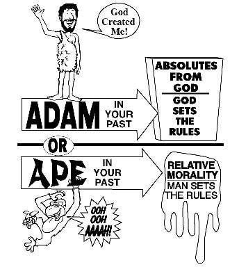 adam or ape creationism