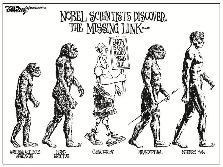 missing link human evolution lucy