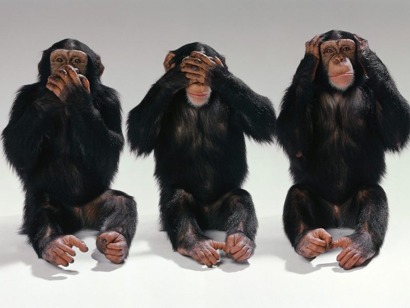 hear see speak no evil