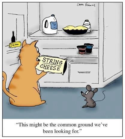 common ground