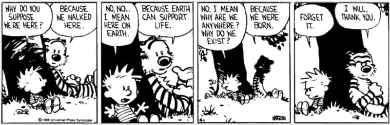 meaning of life 2