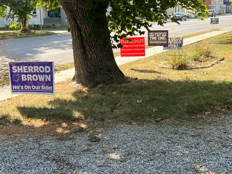 2024 political yard signs (2)