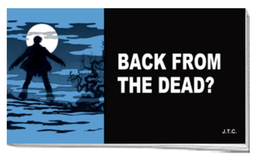 back from the dead chick
