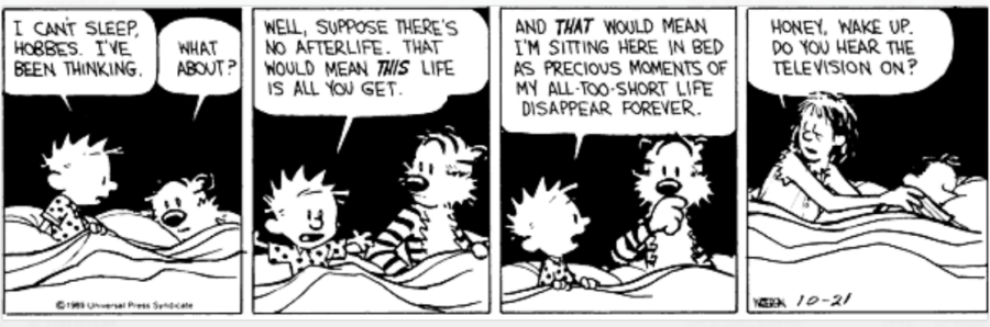calvin afterlife
